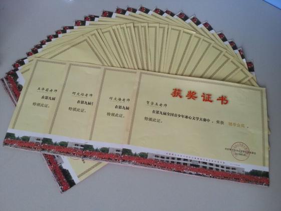 教师辅导金奖