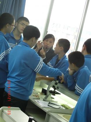 学生针对自己的问题进行实验探究