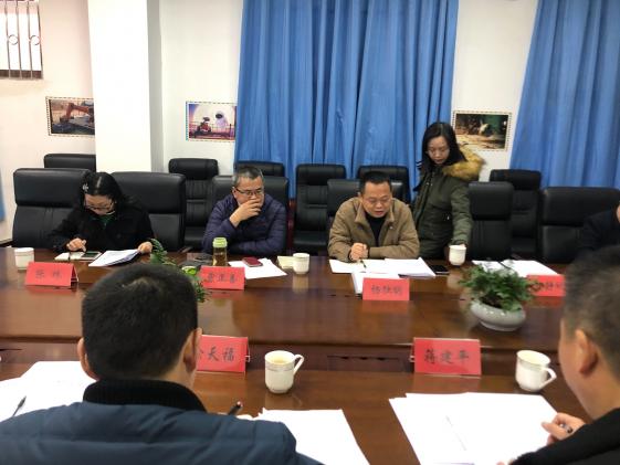 图8 双流区教育局研培中心理论室杨独明研究员发言