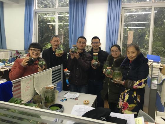 教师设计制作过程