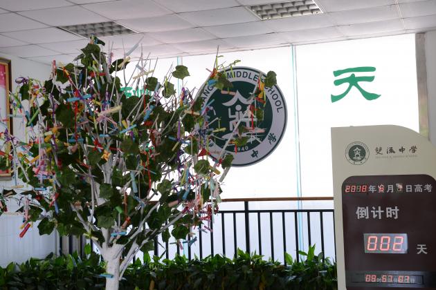 高三许愿树