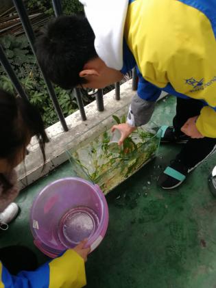 学生制作设计过程