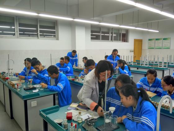 化学与生活