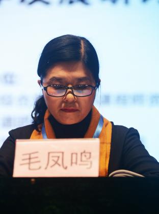 双流实验小学毛凤鸣校长演讲
