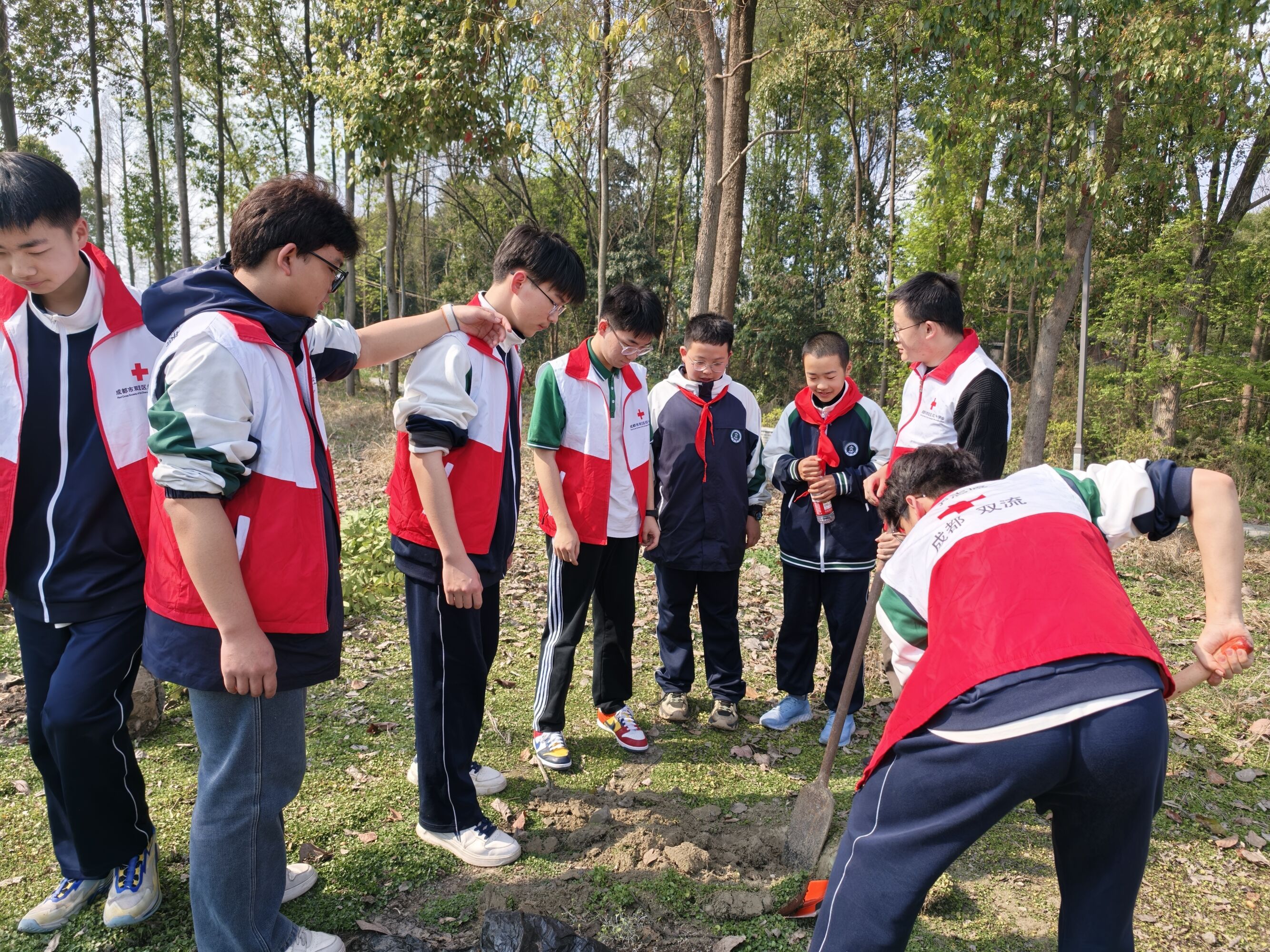 图二：教授种植